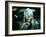 Pans Labyrinth-null-Framed Photo