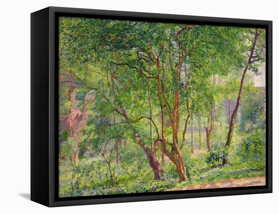 Panshanger Park-Spencer Frederick Gore-Framed Premier Image Canvas