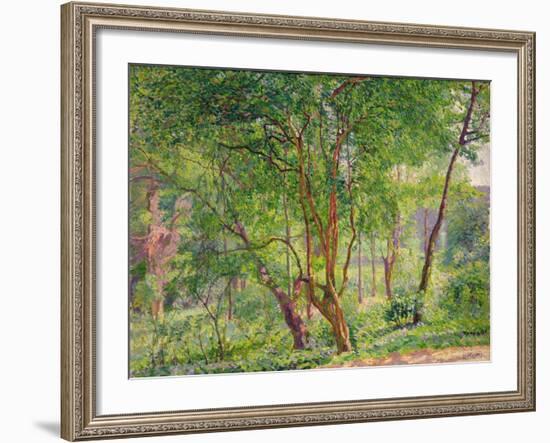 Panshanger Park-Spencer Frederick Gore-Framed Giclee Print