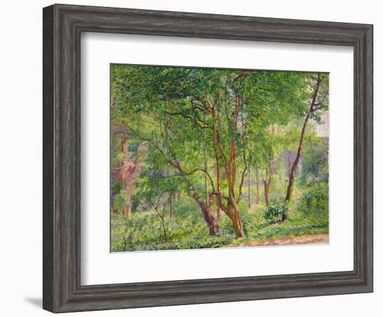 Panshanger Park-Spencer Frederick Gore-Framed Giclee Print