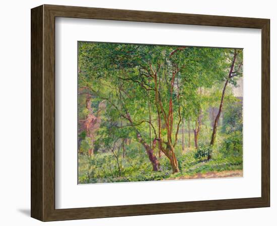 Panshanger Park-Spencer Frederick Gore-Framed Giclee Print