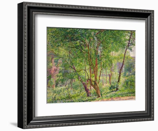 Panshanger Park-Spencer Frederick Gore-Framed Giclee Print