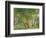 Panshanger Park-Spencer Frederick Gore-Framed Giclee Print