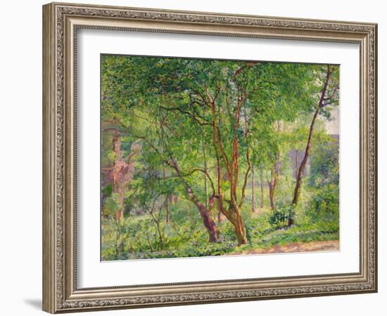 Panshanger Park-Spencer Frederick Gore-Framed Giclee Print