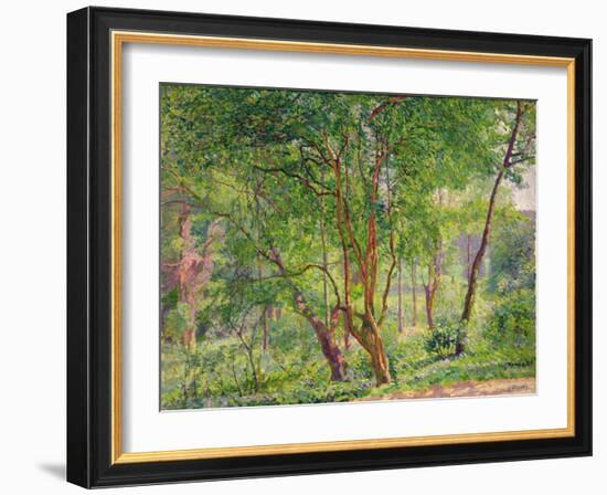 Panshanger Park-Spencer Frederick Gore-Framed Giclee Print