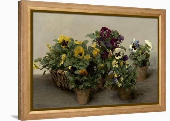 Pansies, 1874-Henri Fantin-Latour-Framed Stretched Canvas