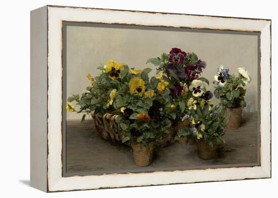 Pansies, 1874-Henri Fantin-Latour-Framed Stretched Canvas