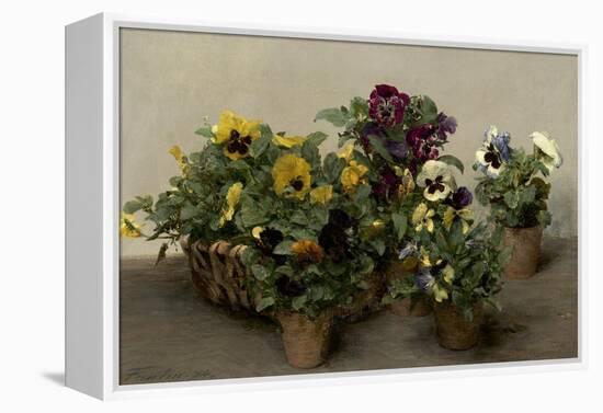 Pansies, 1874-Henri Fantin-Latour-Framed Stretched Canvas