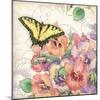 Pansies & Butterflies-Julie Paton-Mounted Art Print