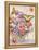 Pansies Folio-Julie Paton-Framed Stretched Canvas