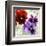 Pansies I-Jenny Thomlinson-Framed Art Print