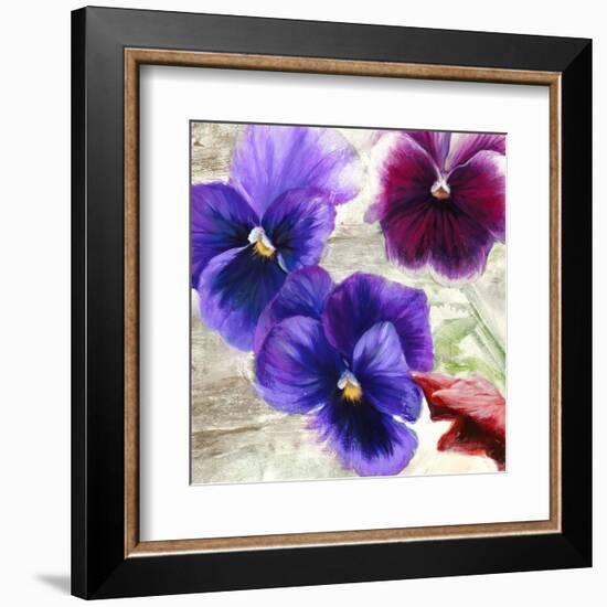 Pansies II-Jenny Thomlinson-Framed Art Print