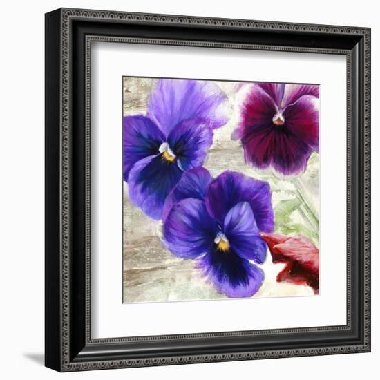 Pansies II-Jenny Thomlinson-Framed Art Print