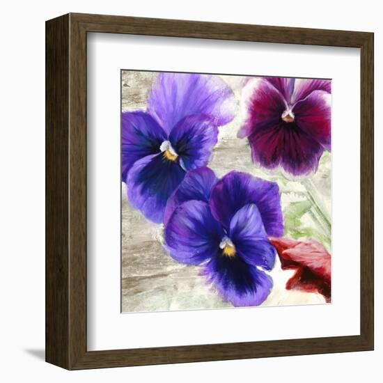 Pansies II-Jenny Thomlinson-Framed Art Print