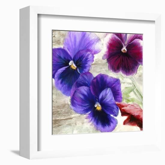 Pansies II-Jenny Thomlinson-Framed Art Print