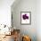 Pansies III-Julia McLemore-Framed Photographic Print displayed on a wall