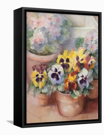 Pansies in a Conservatory-Karen Armitage-Framed Premier Image Canvas
