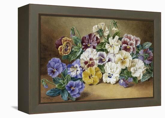 Pansies-Thomas Frederick Collier-Framed Premier Image Canvas