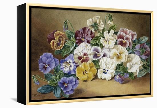 Pansies-Thomas Frederick Collier-Framed Premier Image Canvas