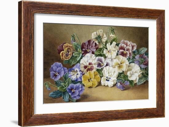 Pansies-Thomas Frederick Collier-Framed Giclee Print