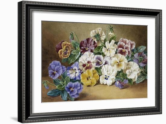 Pansies-Thomas Frederick Collier-Framed Giclee Print