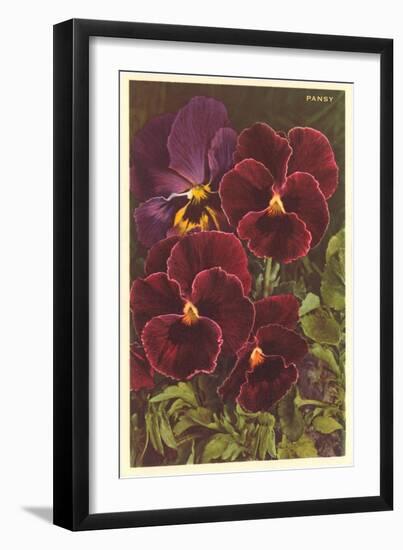 Pansies-null-Framed Art Print