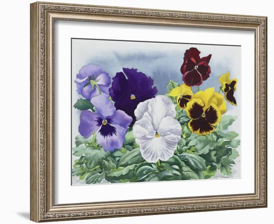 Pansies-Christopher Ryland-Framed Giclee Print