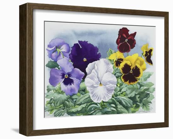 Pansies-Christopher Ryland-Framed Giclee Print