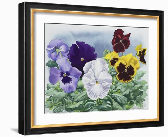 Pansies-Christopher Ryland-Framed Giclee Print