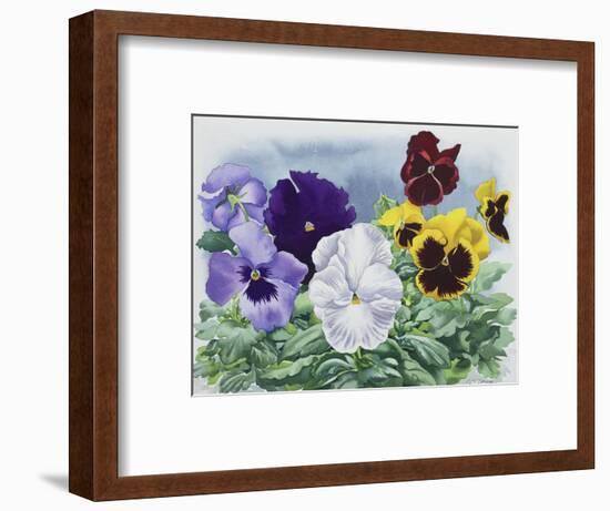 Pansies-Christopher Ryland-Framed Giclee Print