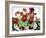 Pansies-Christopher Ryland-Framed Giclee Print