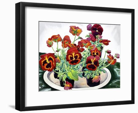 Pansies-Christopher Ryland-Framed Giclee Print