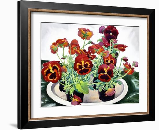 Pansies-Christopher Ryland-Framed Giclee Print