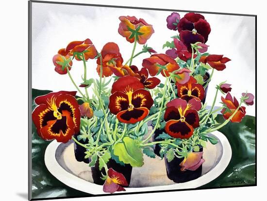 Pansies-Christopher Ryland-Mounted Giclee Print