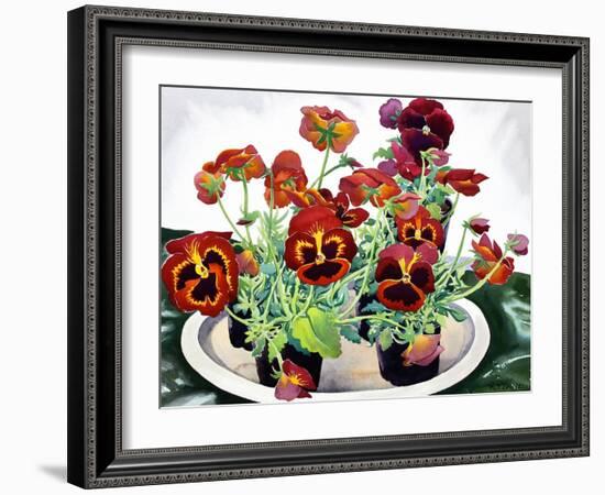 Pansies-Christopher Ryland-Framed Giclee Print