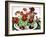 Pansies-Christopher Ryland-Framed Giclee Print