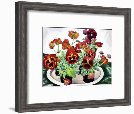 Pansies-Christopher Ryland-Framed Giclee Print