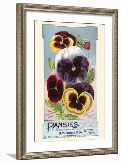 Pansies-null-Framed Art Print