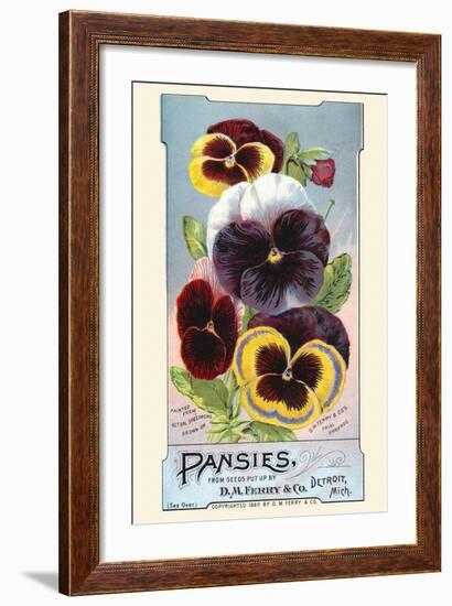 Pansies-null-Framed Art Print