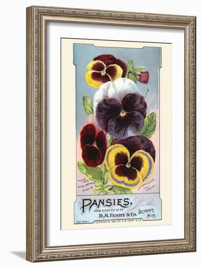 Pansies-null-Framed Art Print