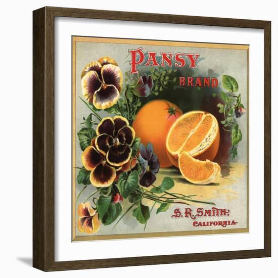 Pansy Brand - California - Citrus Crate Label-Lantern Press-Framed Art Print