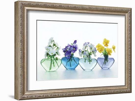 Pansy Party-Christine Zalewski-Framed Premium Giclee Print