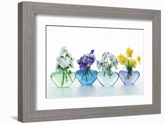 Pansy Party-Christine Zalewski-Framed Premium Giclee Print