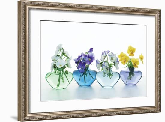 Pansy Party-Christine Zalewski-Framed Art Print