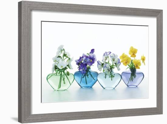 Pansy Party-Christine Zalewski-Framed Art Print