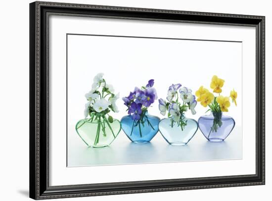 Pansy Party-Christine Zalewski-Framed Art Print