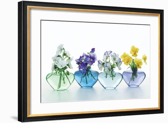 Pansy Party-Christine Zalewski-Framed Art Print