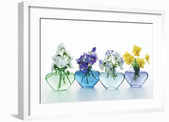 Pansy Party-Christine Zalewski-Framed Art Print