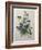 Pansy-Pierre-Joseph Redoute-Framed Art Print