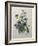 Pansy-Pierre-Joseph Redoute-Framed Art Print